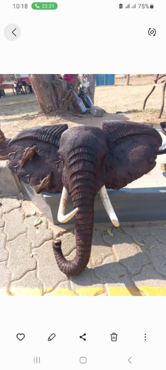 Elephant Collection : Carved from Ironwood by Killian Torovasei | Zimbabwe