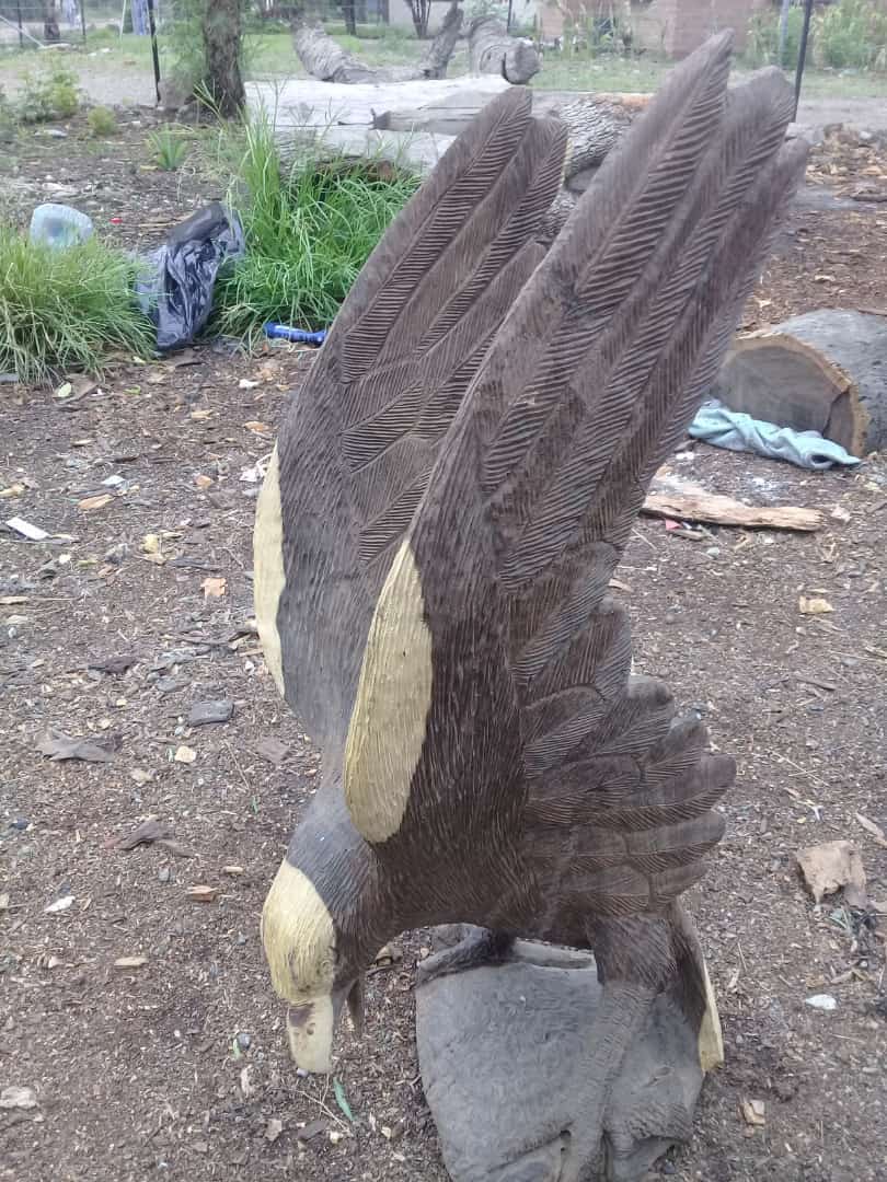 Eagles Collection : Carved from Ironwood by Killian Torovasei | Zimbabwe