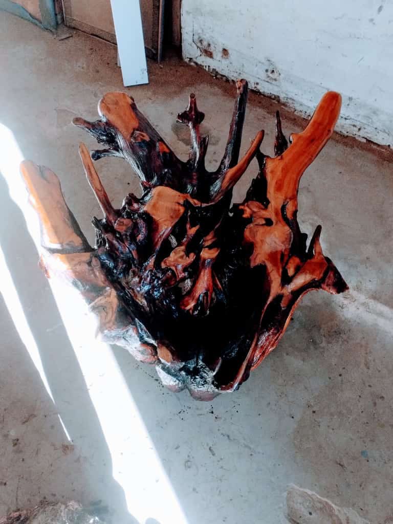 Unique Various Collection : Carved from Ironwood by Killian Torovasei | Zimbabwe