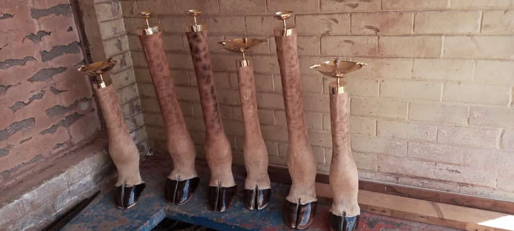 Unique Various Collection : Carved from Ironwood by Killian Torovasei | Zimbabwe