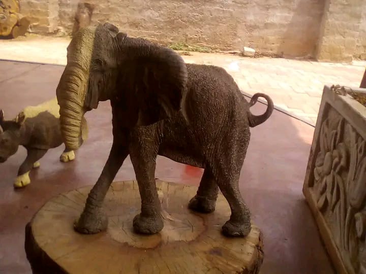 Elephant Collection : Carved from Ironwood by Killian Torovasei | Zimbabwe