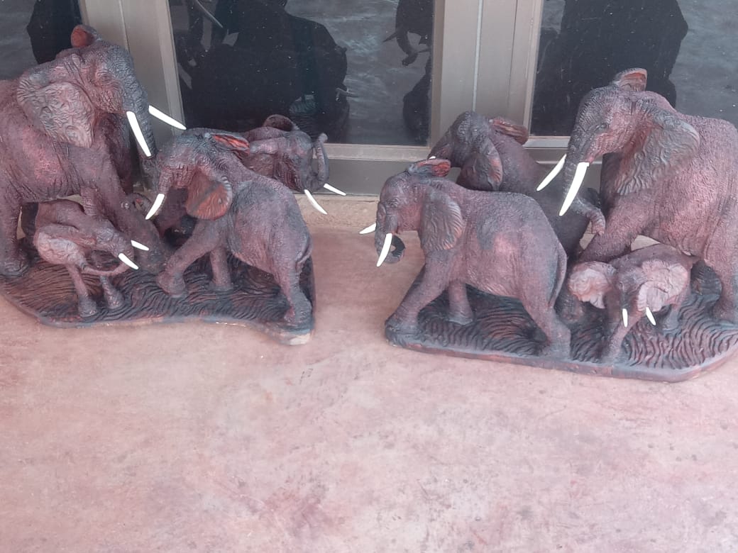 Elephant Collection : Carved from Ironwood by Killian Torovasei | Zimbabwe