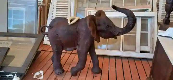 Elephant Collection : Carved from Ironwood by Killian Torovasei | Zimbabwe