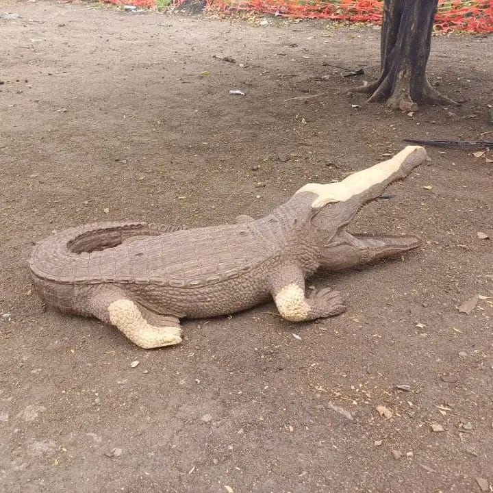 Crocodiles Collection - Carved from Ironwood by Killian Torovasei | Zimbabwe