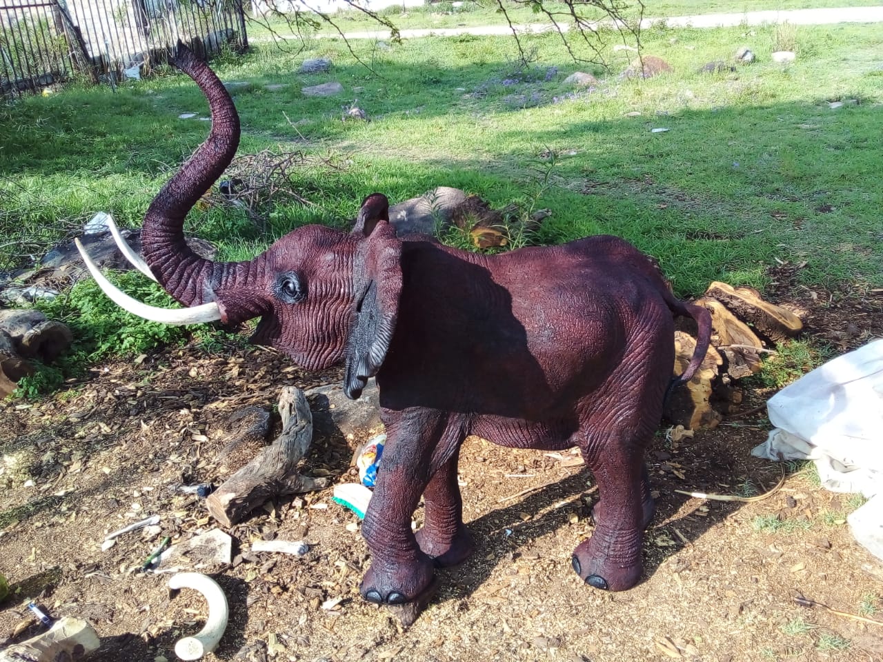 Elephant Collection : Carved from Ironwood by Killian Torovasei | Zimbabwe