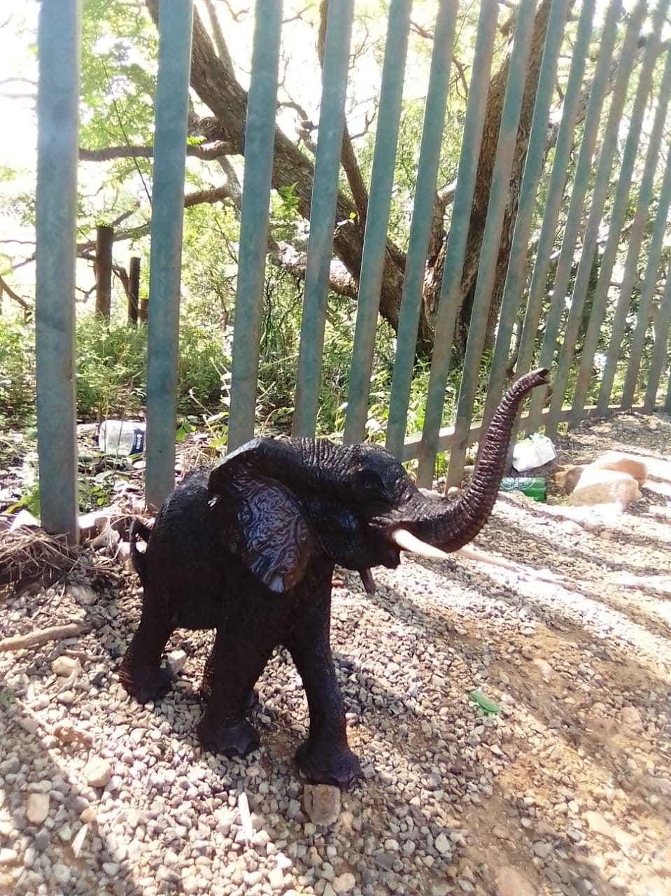 Elephant Collection : Carved from Ironwood by Killian Torovasei | Zimbabwe