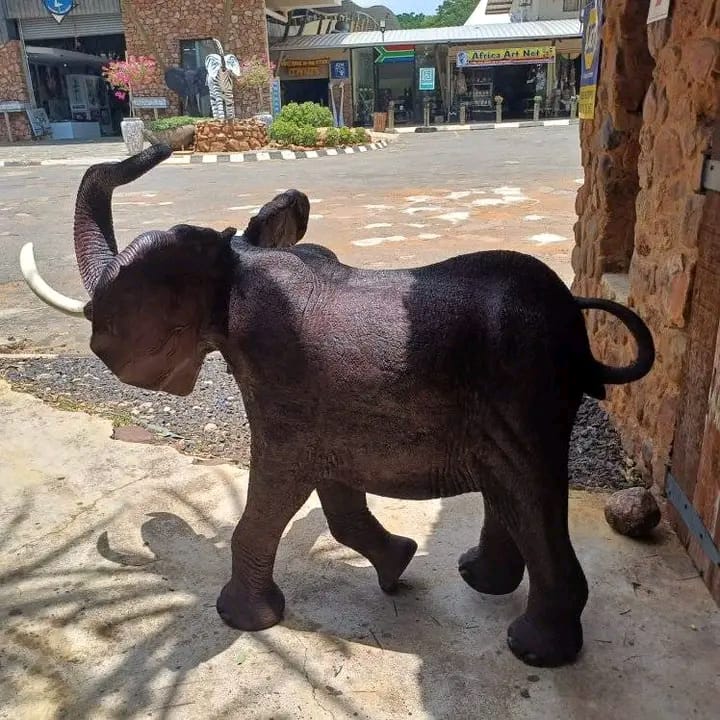 Elephant Collection : Carved from Ironwood by Killian Torovasei | Zimbabwe