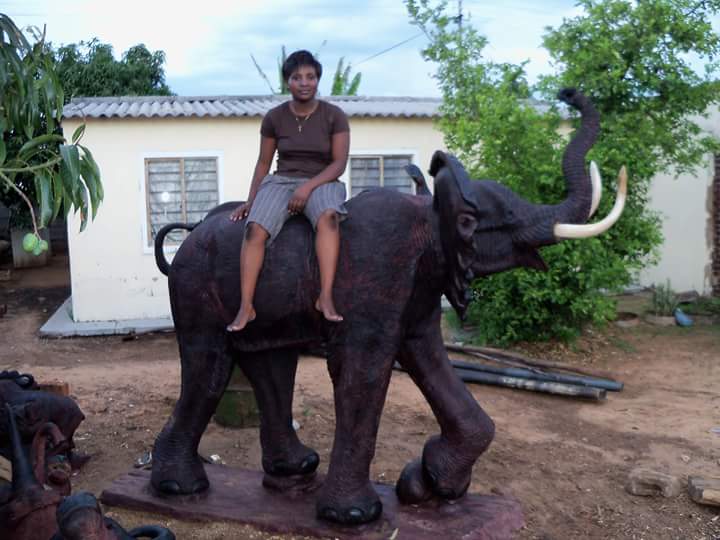 Elephant Collection : Carved from Ironwood by Killian Torovasei | Zimbabwe