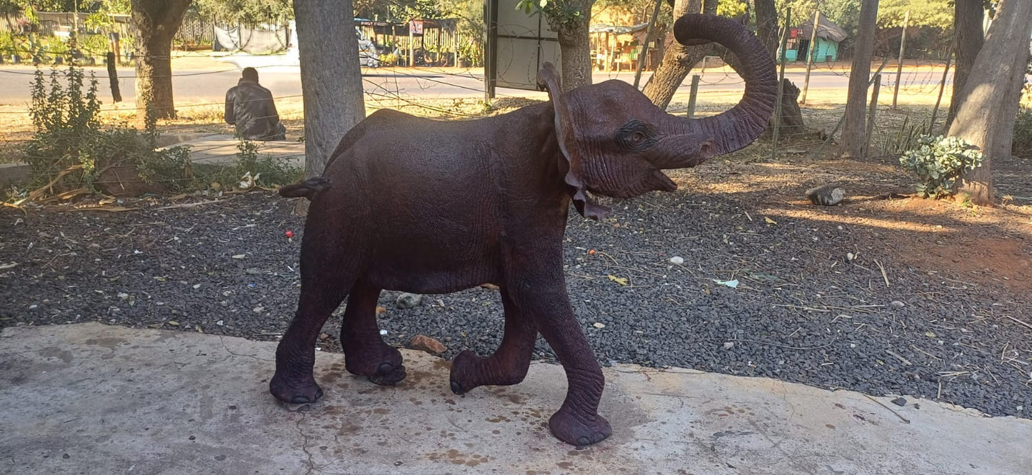 Elephant Collection : Carved from Ironwood by Killian Torovasei | Zimbabwe