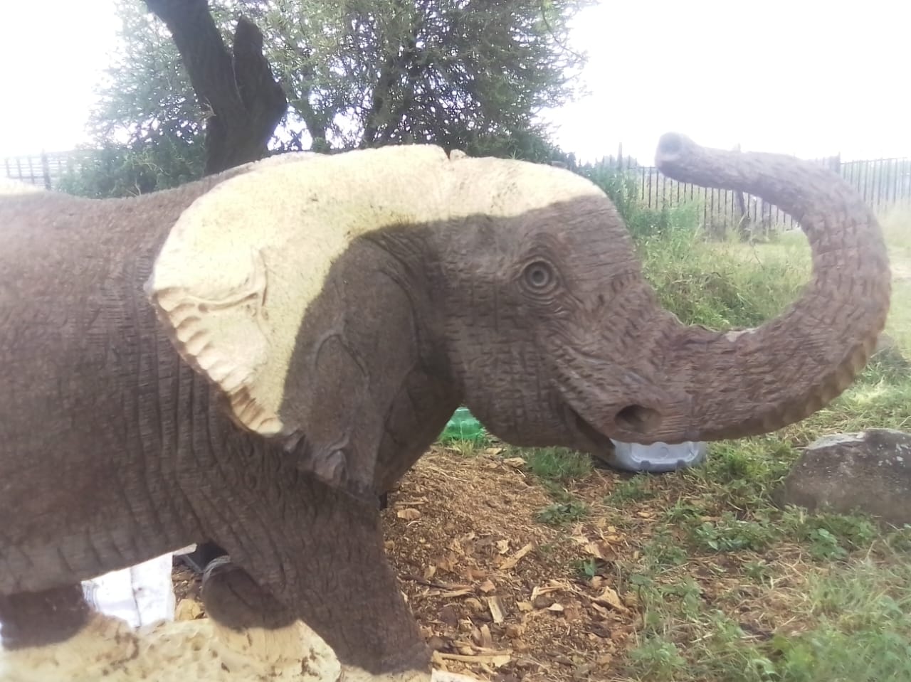 Elephant Collection : Carved from Ironwood by Killian Torovasei | Zimbabwe