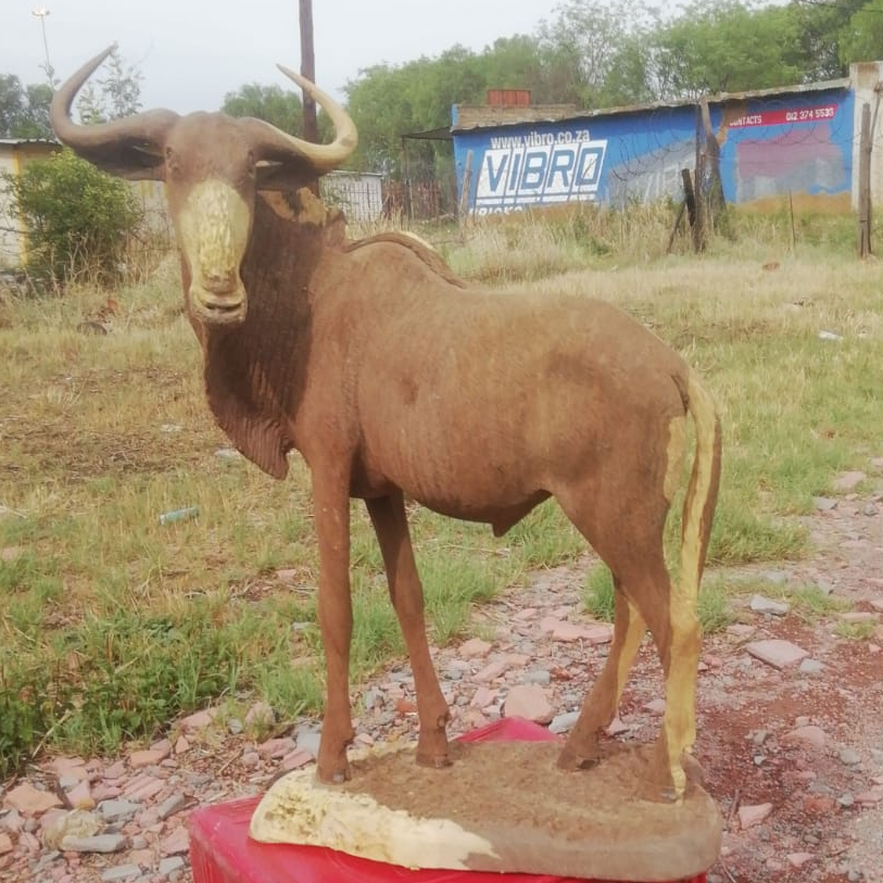 Antelope, Eland & Kudu Collection : Carved from Ironwood by Killian Torovasei | Zimbabwe