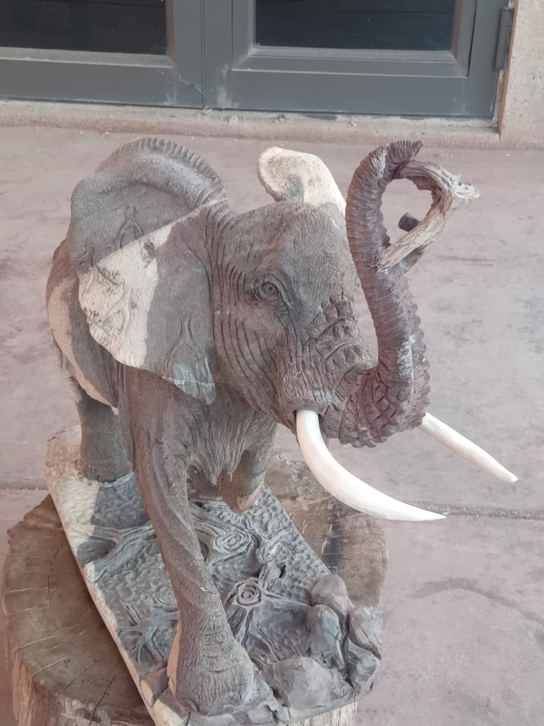 Wooden Wonders - Carved from Ironwood by Killian Torovasei | Zimbabwe