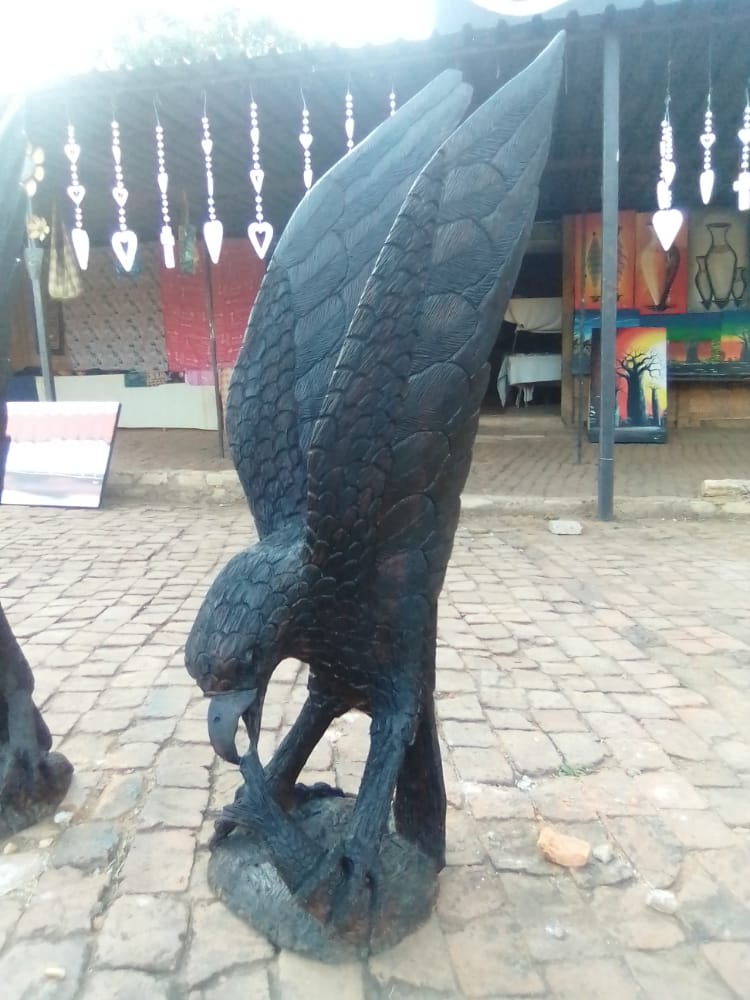 Eagles Collection :  Carved from Ironwood by Killian Torovasei | Zimbabwe