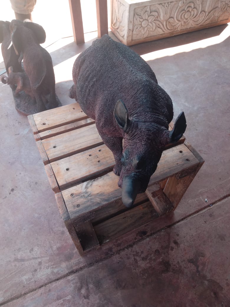 Rhino Carvings Collection : Carved from Ironwood by Killian Torovasei | Zimbabwe