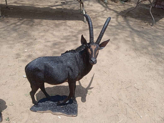 Antelope, Eland & Kudu Collection : Carved from Ironwood by Killian Torovasei | Zimbabwe