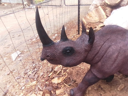 Rhino Carvings Collection : Carved from Ironwood by Killian Torovasei | Zimbabwe