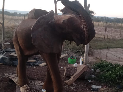 Wooden Wonders - Carved from Ironwood by Killian Torovasei | Zimbabwe