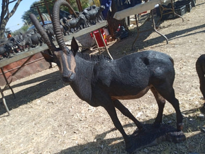 Antelope, Eland & Kudu Collection : Carved from Ironwood by Killian Torovasei | Zimbabwe