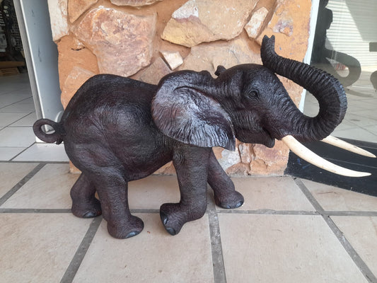 Elephant Collection : Carved from Ironwood by Killian Torovasei | Zimbabwe