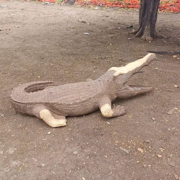 Crocodiles Collection - Carved from Ironwood by Killian Torovasei | Zimbabwe