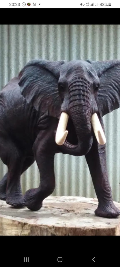 'Join The Hunt' Collection - Carved from Ironwood by Killian Torovasei | Zimbabwe