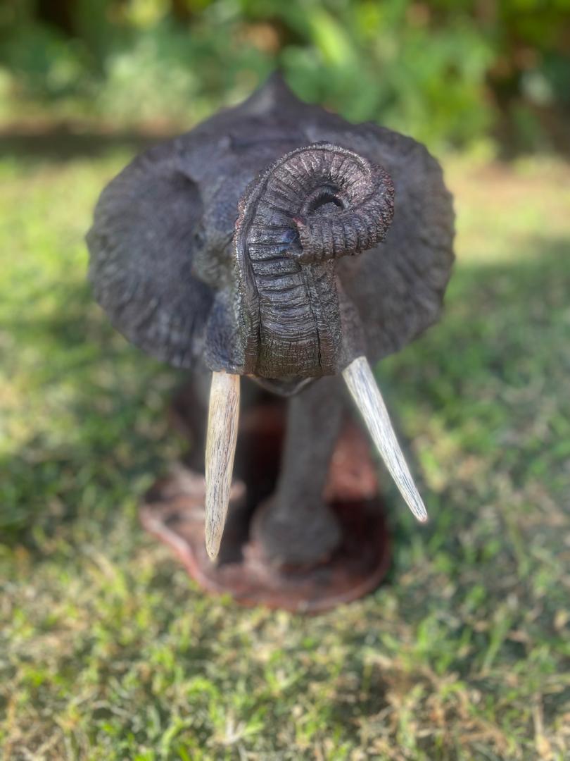 Big Elephant - Wooden Sculpture Made of Ironwood by Ntokozo Patson Sibanda | Zimbabwe