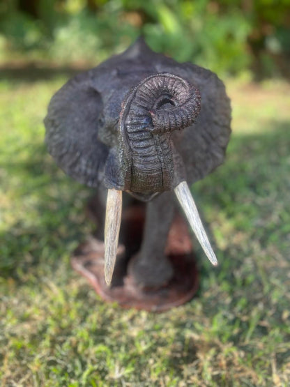 Big Elephant - Wooden Sculpture Made of Ironwood by Ntokozo Patson Sibanda | Zimbabwe