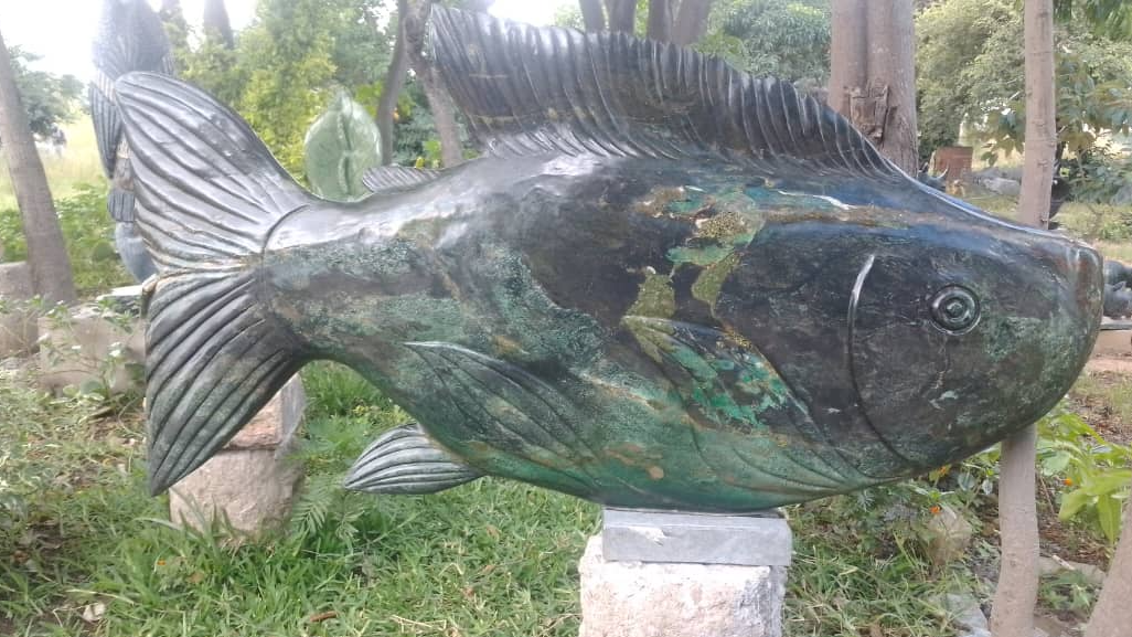 Carp Fish - Stone Sculpture Made of Cobalt Stone by Paul Masvikeni | Zimbabwe