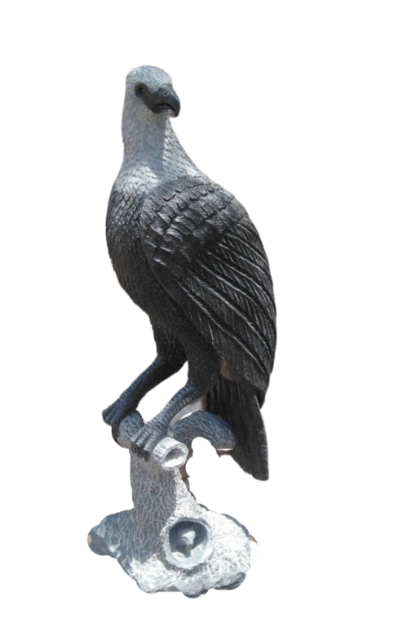 Majestic Eagle - Stone Sculpture Made of Springstone by Dickson Shinga | Zimbabwe