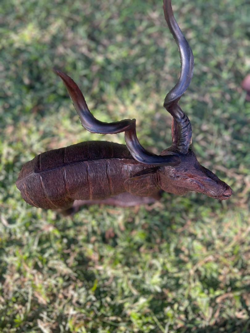 Kudu in a State of Shock - Wooden Sculpture Made of Ironwood by Ntokozo Patson Sibanda | Zimbabwe