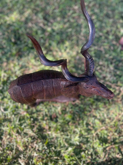 Kudu in a State of Shock - Wooden Sculpture Made of Ironwood by Ntokozo Patson Sibanda | Zimbabwe