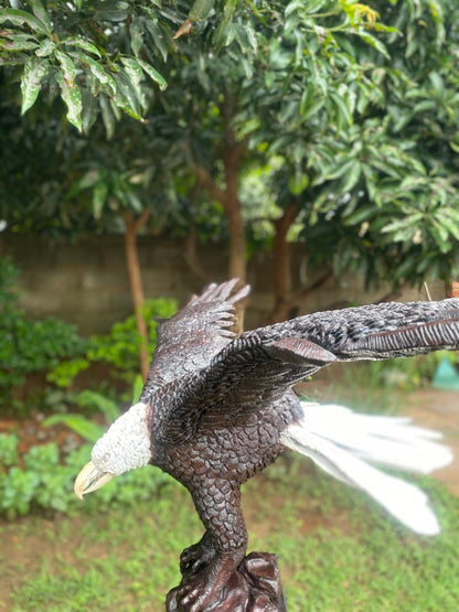 Landing Eagle - Wooden Sculpture Made of Ironwood by Ntokozo Patson Sibanda | Zimbabwe