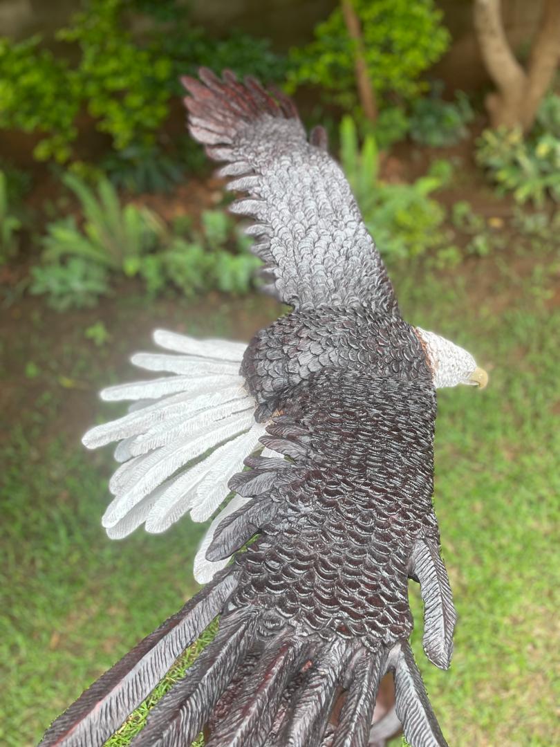 Landing Eagle - Wooden Sculpture Made of Ironwood by Ntokozo Patson Sibanda | Zimbabwe