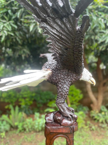 Landing Eagle - Wooden Sculpture Made of Ironwood by Ntokozo Patson Sibanda | Zimbabwe