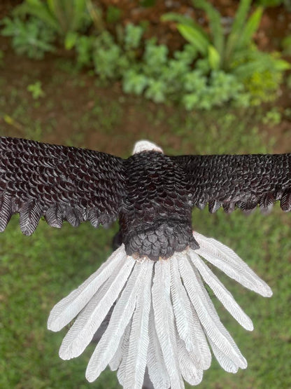 Landing Eagle - Wooden Sculpture Made of Ironwood by Ntokozo Patson Sibanda | Zimbabwe