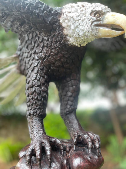 Landing Eagle - Wooden Sculpture Made of Ironwood by Ntokozo Patson Sibanda | Zimbabwe