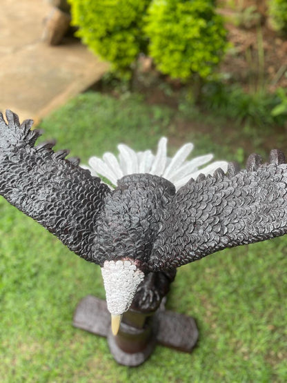 Landing Eagle - Wooden Sculpture Made of Ironwood by Ntokozo Patson Sibanda | Zimbabwe