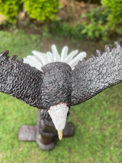 Landing Eagle - Wooden Sculpture Made of Ironwood by Ntokozo Patson Sibanda | Zimbabwe