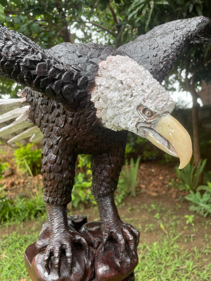 Landing Eagle - Wooden Sculpture Made of Ironwood by Ntokozo Patson Sibanda | Zimbabwe