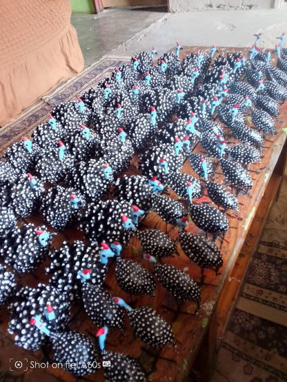 Seedpod Art Collection Made of Pine Cones and Ulumbu Seed Pods | Zimbabwe