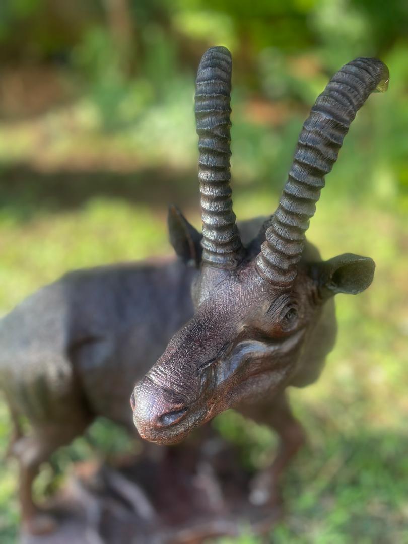 Sable In a State of Panic - Wooden Sculpture Made of Ironwood by Ntokozo Patson Sibanda | Zimbabwe
