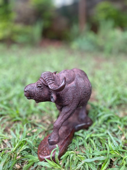 Buffalo Ready To Fend Off Attack - Wooden Sculpture Made of Ironwood by Ntokozo Patson Sibanda | Zimbabwe