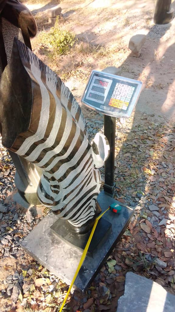 Drinking Zebra - Stone Sculpture Made of Springstone by Teremayi Maisiri | Zimbabwe