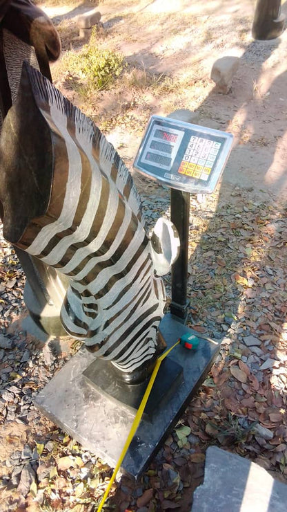 Drinking Zebra - Stone Sculpture Made of Springstone by Teremayi Maisiri | Zimbabwe