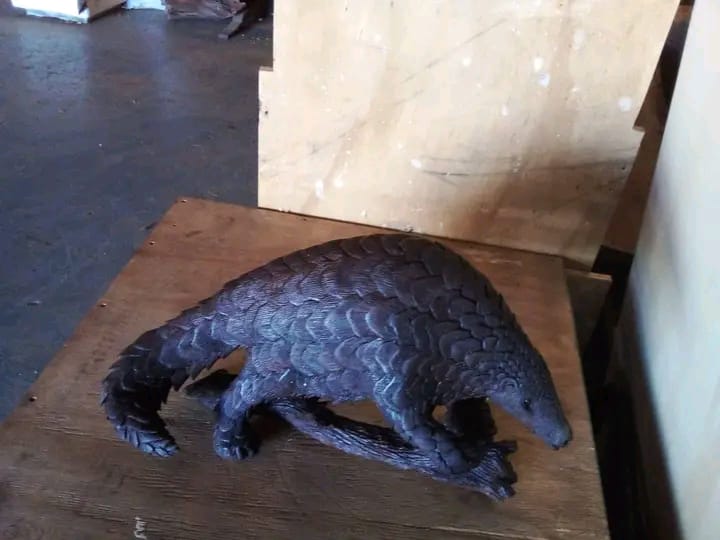 Pangolin :  Carved from Ironwood by Killian Torovasei | Zimbabwe