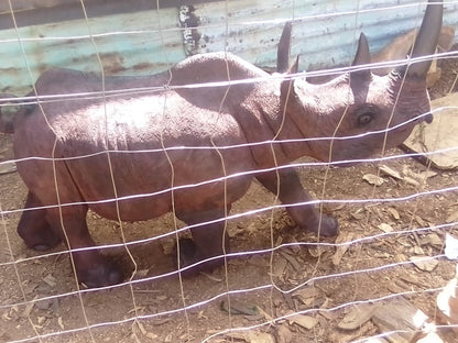 Rhino Carvings Collection : Carved from Ironwood by Killian Torovasei | Zimbabwe