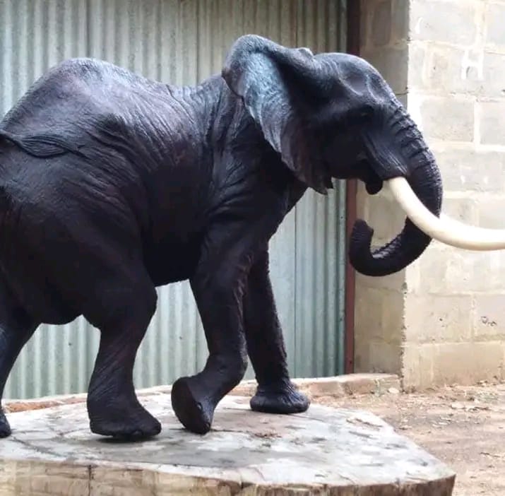 'Join The Hunt' Collection - Carved from Ironwood by Killian Torovasei | Zimbabwe