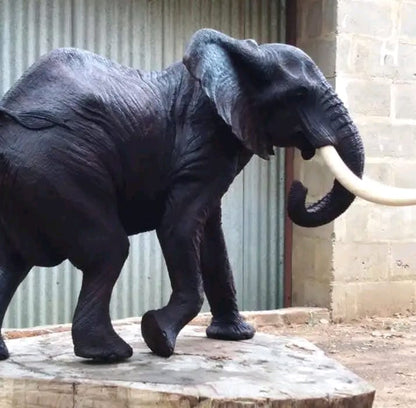 'Join The Hunt' Collection - Carved from Ironwood by Killian Torovasei | Zimbabwe