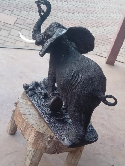 Wooden Wonders - Carved from Ironwood by Killian Torovasei | Zimbabwe